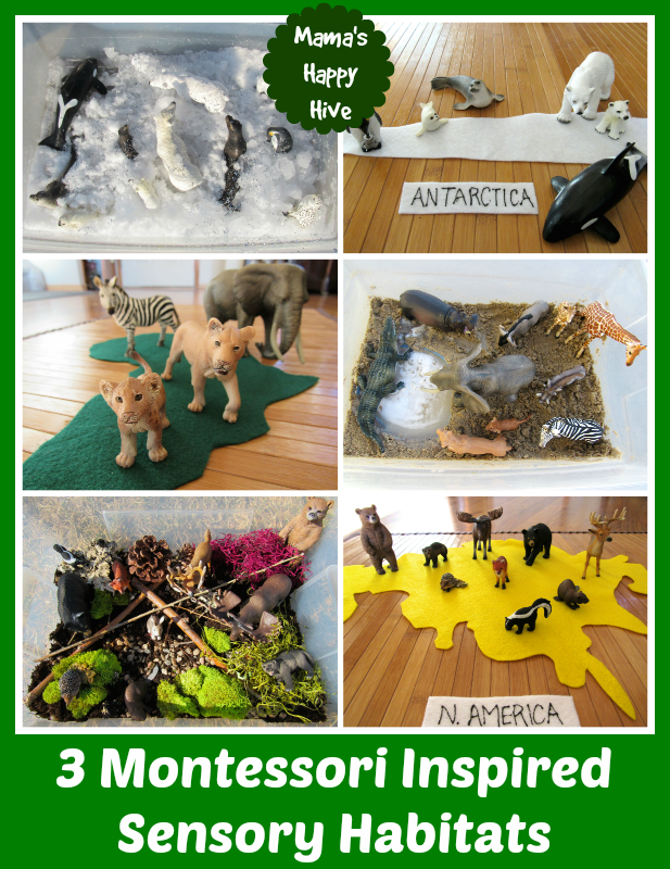 3 DIY Montessori Inspired Sensory Habitats Mama's Happy Hive