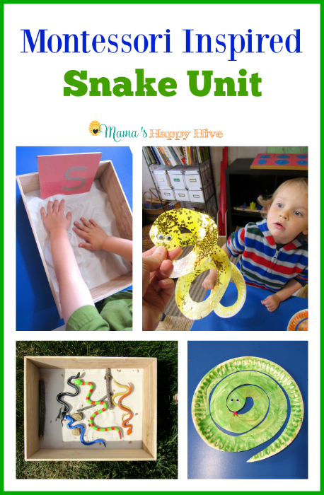A fun collection of Montessori Inspired Snake Unit activities for toddlers and preschoolers. It includes pre-reading, prewriting, sensory play, art, life-cycle and more. - www.mamashappyhive.com