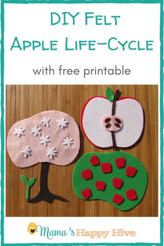 DIY Felt Apple Life-Cycle with Free Printable Apple and Tree