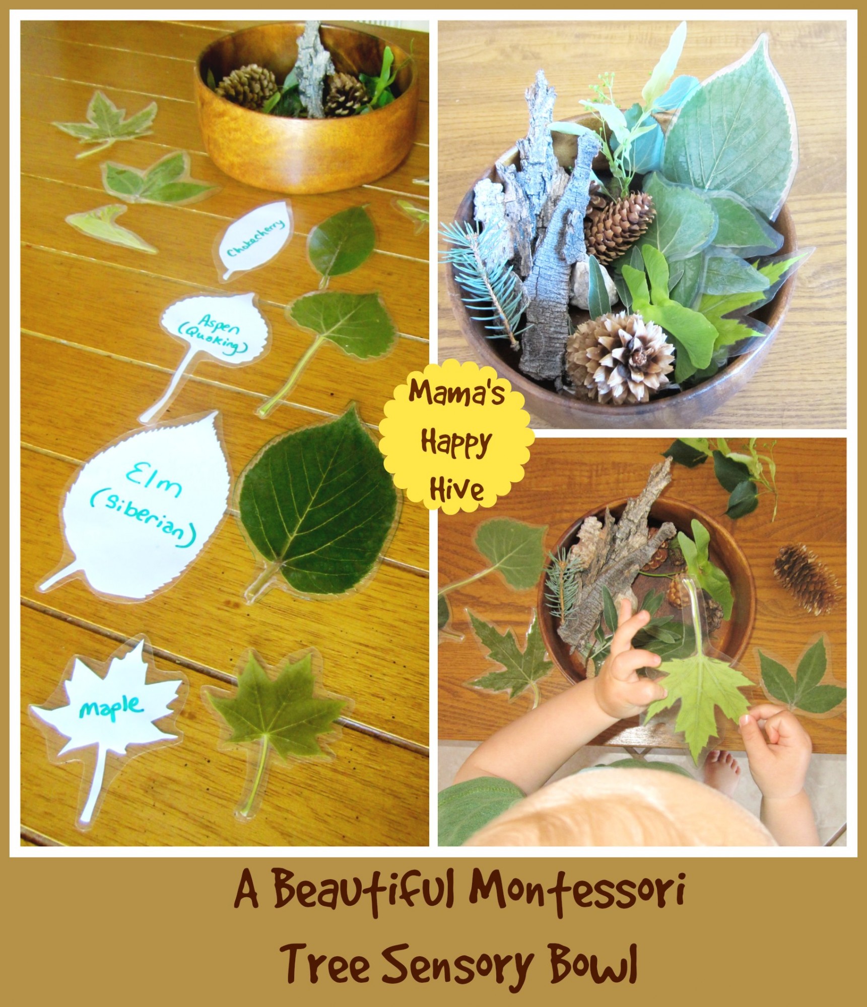 A Beautiful Montessori Tree Sensory Bowl