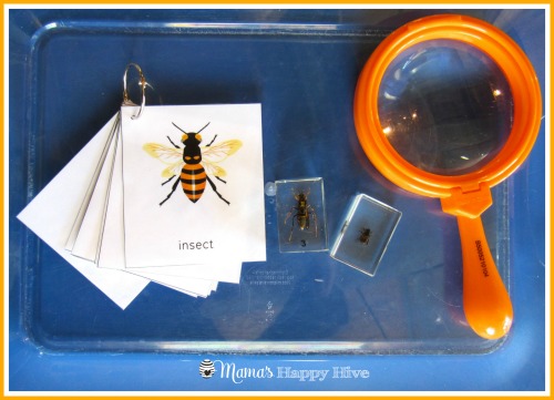 Bee Booklet - www.mamashappyhive.com