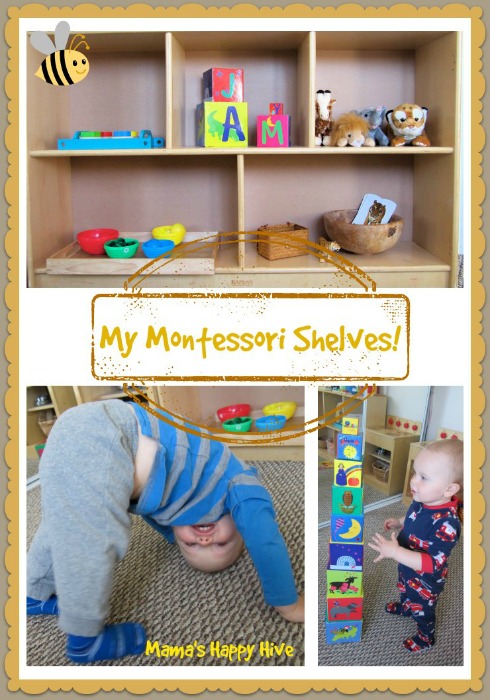 15 Montessori Toddler Shelf Themes - Mama's Happy Hive