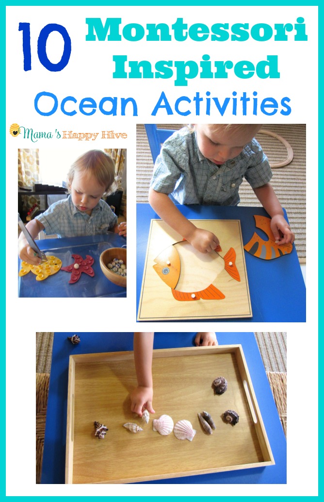 10 Montessori Inspired Ocean Activities