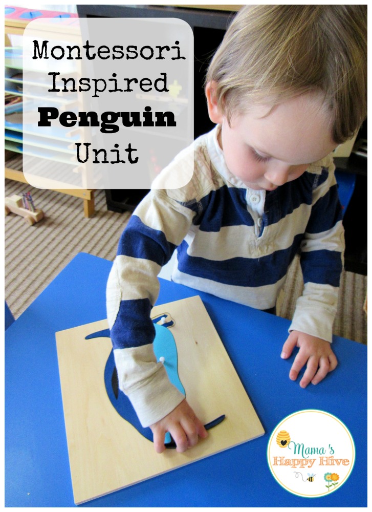 Montessori Inspired Penguin Unit