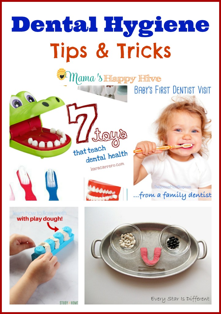 These dental hygiene tips and tricks include ways to encourage a toddler or preschooler to brush and floss their teeth thoroughly without a fight. Also, there is a collection of dental health activities from the Kid Blogger Network. - www.mamashappyhive.com