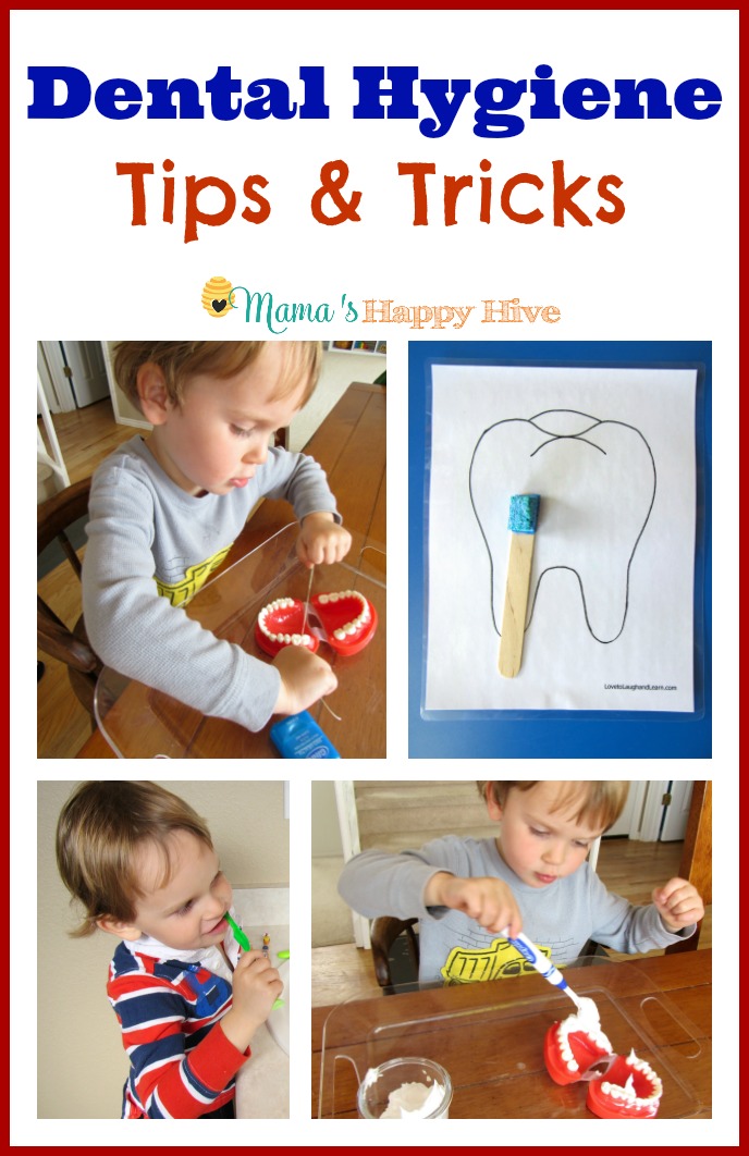 These dental hygiene tips and tricks include ways to encourage a toddler or preschooler to brush and floss their teeth thoroughly without a fight. Also, there is a collection of dental health activities from the Kid Blogger Network. - www.mamashappyhive.com