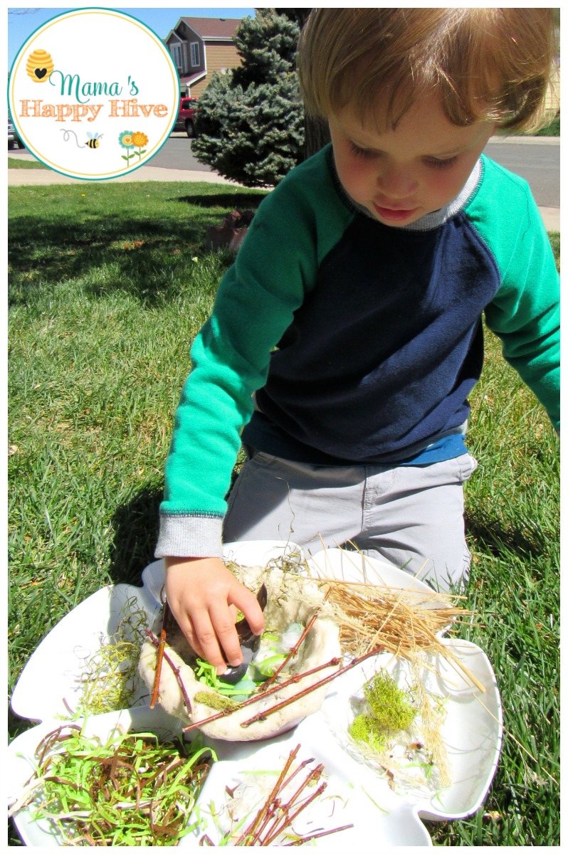 Children love sensory play! This is an easy build a bird nest activity your child will love! - www.mamashappyhive.com - www.mamashappyhive.com