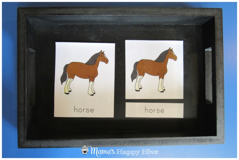 Horse 3-Part Cards - www.mamashappyhive.com