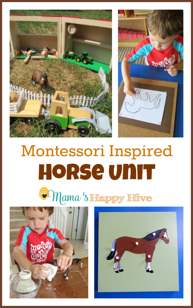 Montessori Inspired Horse Unit that includes 6 activities for preschoolers. - www.mamashappyhive.com
