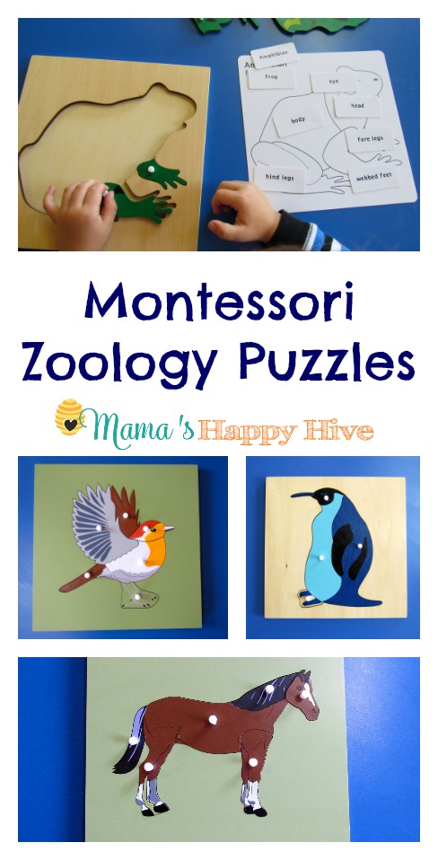 Montessori 5-teiliges Set MS41 Tier-Puzzle 