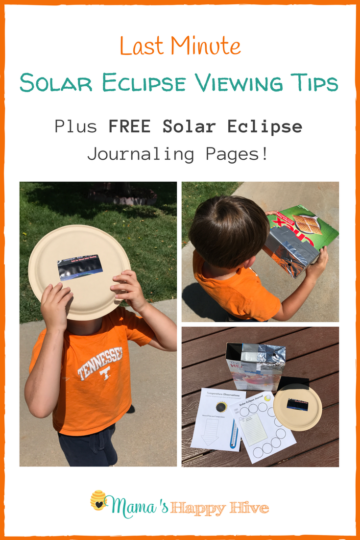 Learn several tips for how to view the solar eclipse safely. Also, includes a 5 page journaling printable (for school aged children) to save as a keepsake! - www.mamashappyhive.com