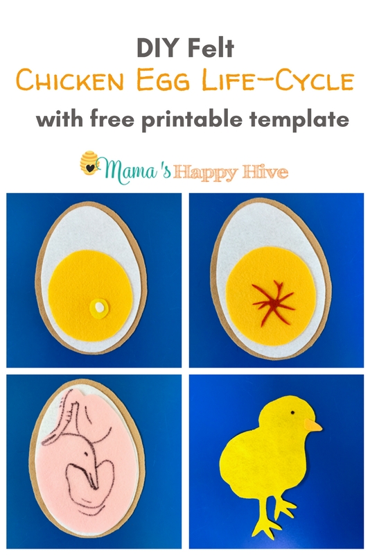This DIY Felt Chicken Egg Life-Cycle is a hands-on learning tool and includes a free printable template. More fun themed activities are included! - www.mamashappyhive.com