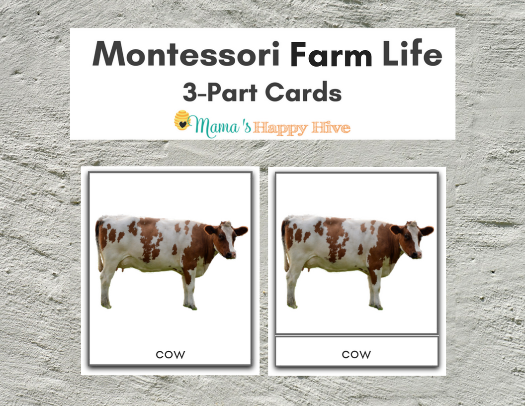 We use these Montessori Farm Life 3-Part Cards in our homeschool for new vocabulary development, visual discrimination, and to encourage rational thinking. - www.mamashappyhive.com