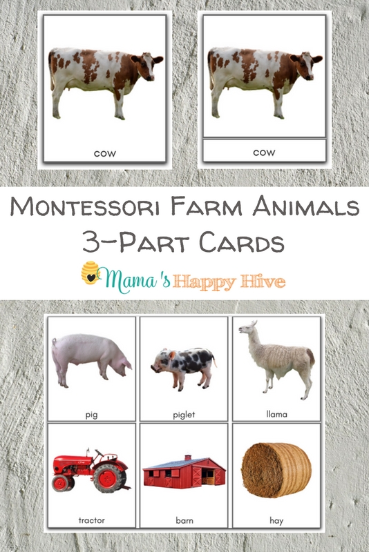 Montessori Farm Life 3-Part Cards