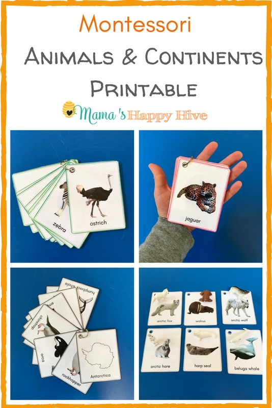 Included are several fun hands-on activities for learning all about Montessori animals and continents. Plus, an animal & continent printable bundle! - www.mamashappyhive.com