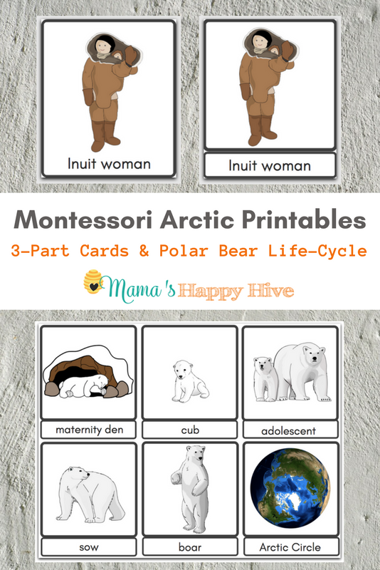 These Montessori Arctic Activities and Printables include polar bear anatomy, life-cycle, Arctic animals, and the Inuit people life style. - mamashappyhive@gmail.com 